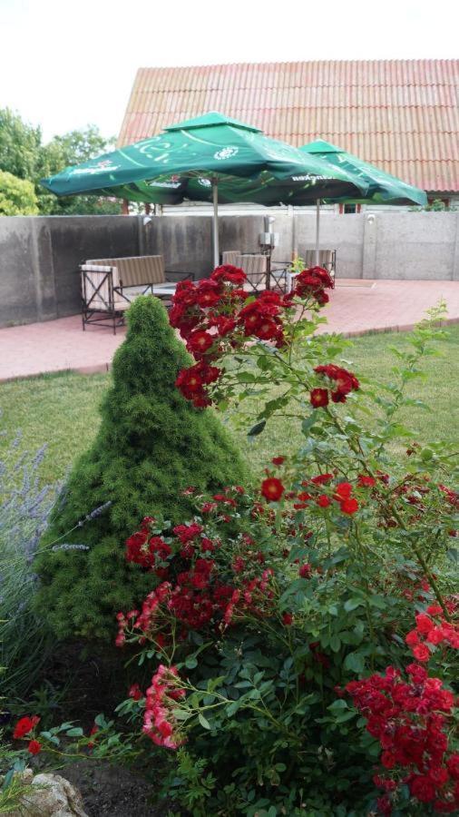 Hotel Bourbon Vama Veche Zewnętrze zdjęcie